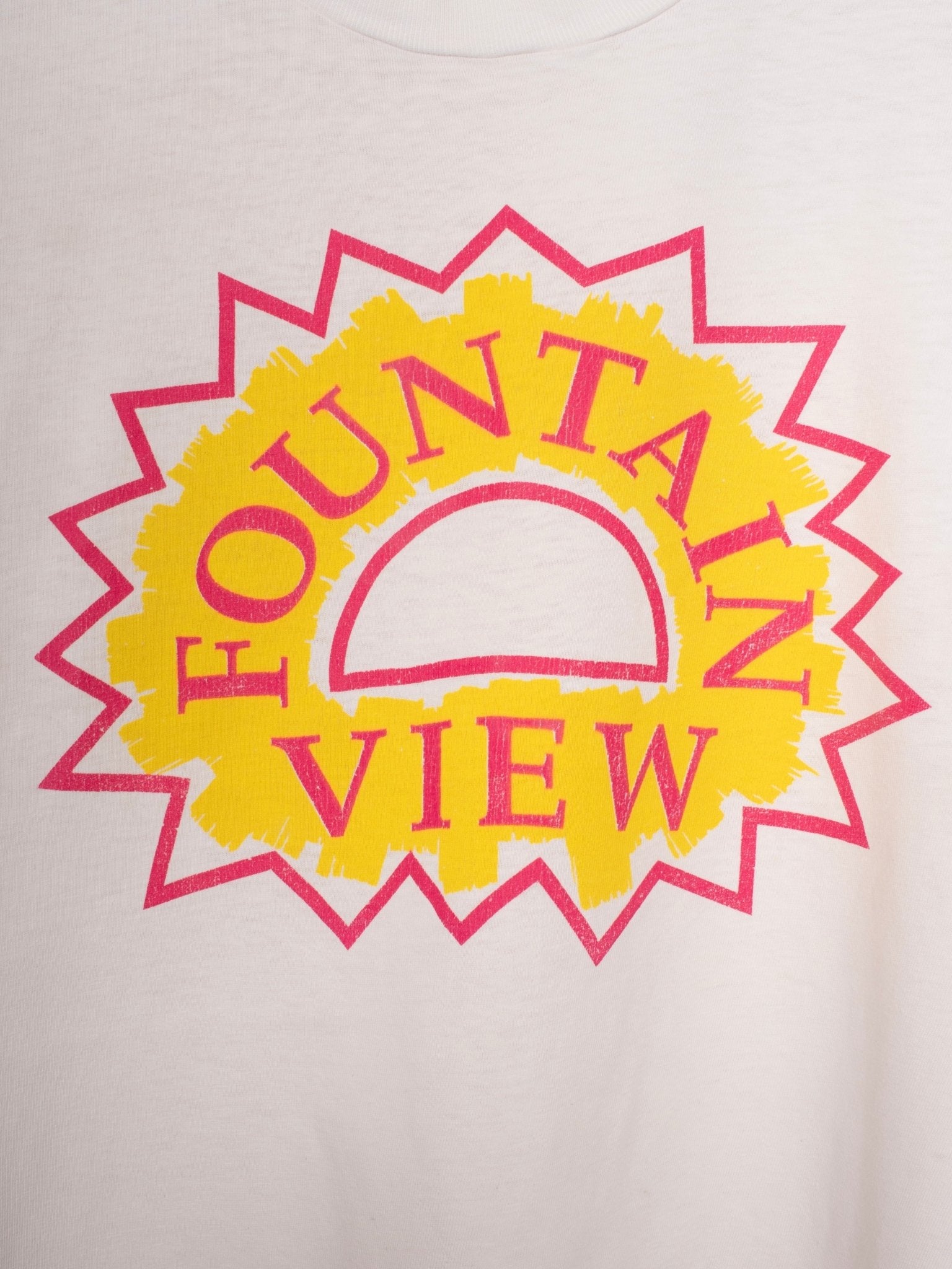 1990s Single Stitch "Fountain View" Tee